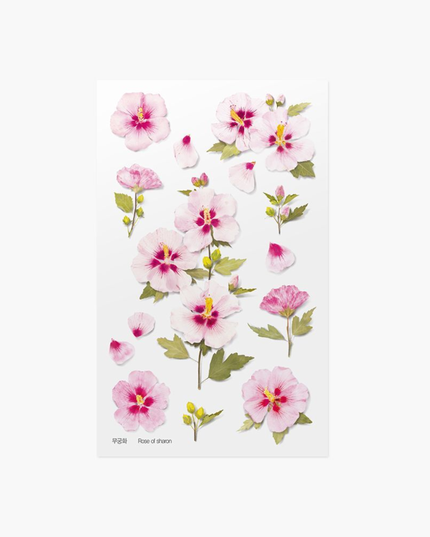 Clear Pressed Flower Sticker Sheet - Rose of Sharon