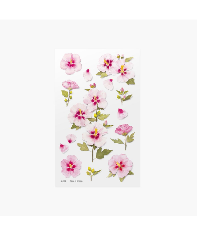 Clear Pressed Flower Sticker Sheet - Rose of Sharon