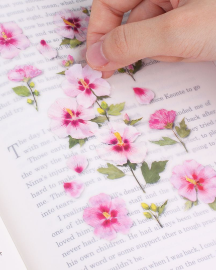 Clear Pressed Flower Sticker Sheet - Rose of Sharon