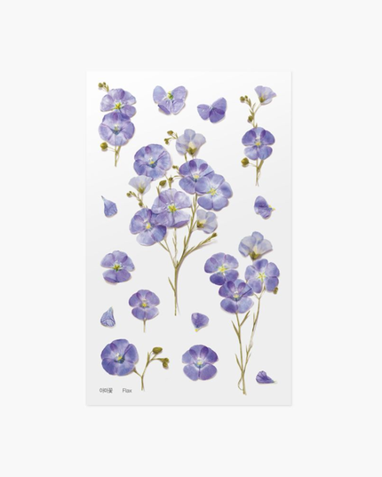 Clear Pressed Flower Sticker Sheet - Flax