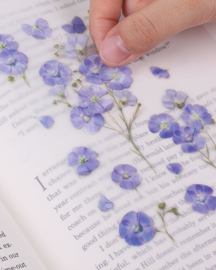 Clear Pressed Flower Sticker Sheet - Flax