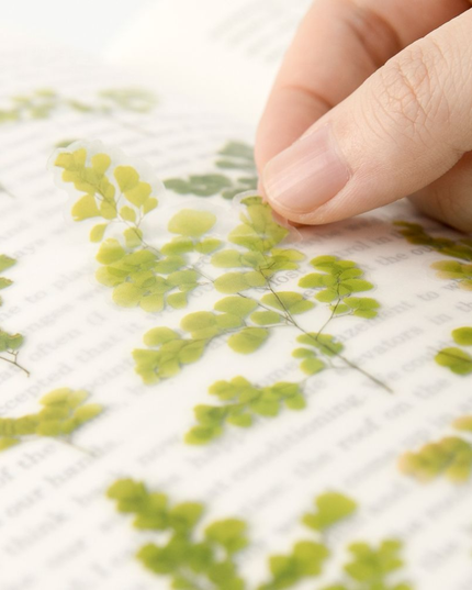 Clear Pressed Flower Sticker Sheet - Adiantum