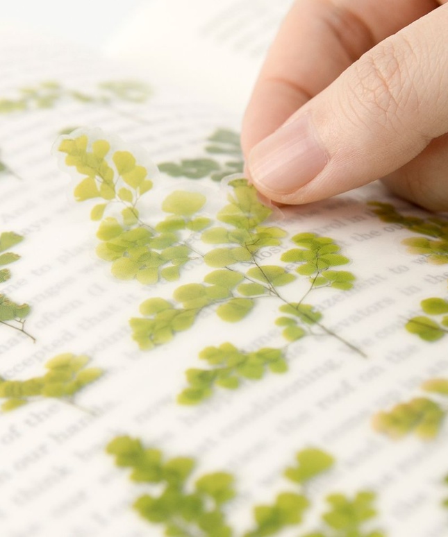 Clear Pressed Flower Sticker Sheet - Adiantum