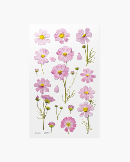 Clear Pressed Flower Sticker Sheet - Cosmos