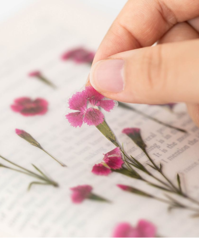 Clear Pressed Flower Sticker Sheet - China Pink