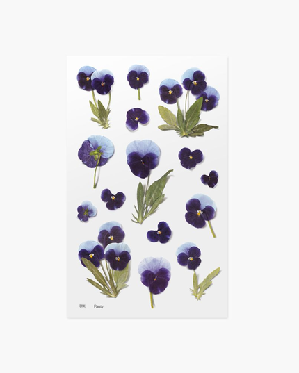Clear Pressed Flower Sticker Sheet - Pansy