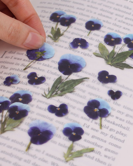 Clear Pressed Flower Sticker Sheet - Pansy