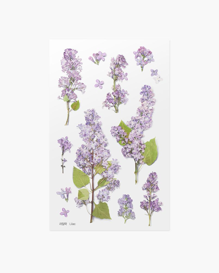 Clear Pressed Flower Sticker Sheet - Lilac