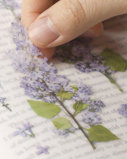 Clear Pressed Flower Sticker Sheet - Lilac