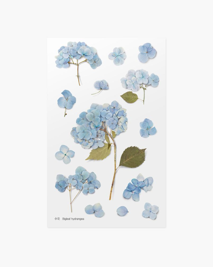 Clear Pressed Flower Sticker Sheet - Hydrangea