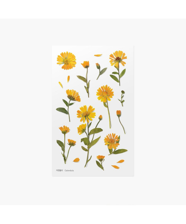 Clear Pressed Flower Sticker Sheet - Calendula