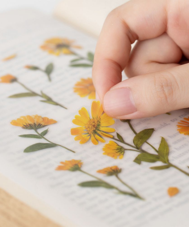Clear Pressed Flower Sticker Sheet - Calendula